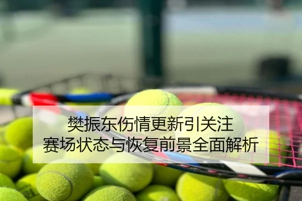 樊振东伤情更新引关注 赛场状态与恢复前景全面解析