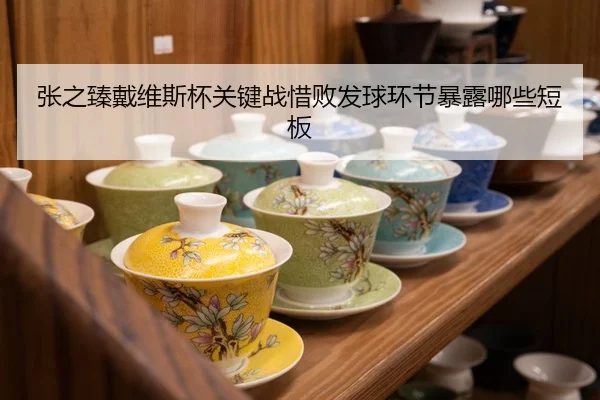 张之臻戴维斯杯关键战惜败发球环节暴露哪些短板