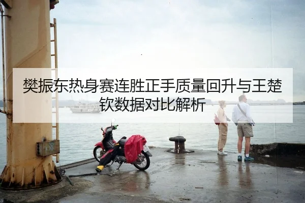 樊振东热身赛连胜正手质量回升与王楚钦数据对比解析
